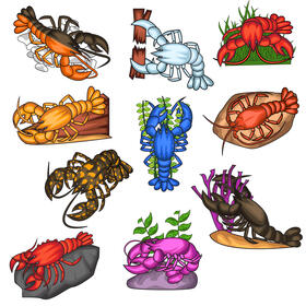 Lobster Set vector