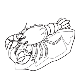 Lobster In The Rock black and white clipart