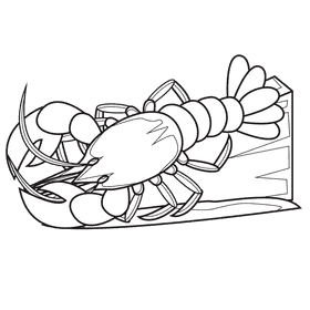 Lobster Orange Bright black and white clipart