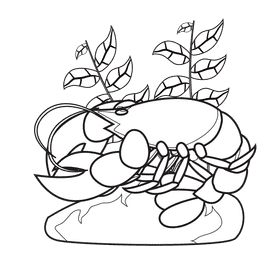 Lobster Pink black and white clipart