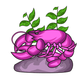 Lobster Pink clipart