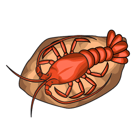 Lobster Spinny clipart