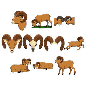Ram vector Set vector
