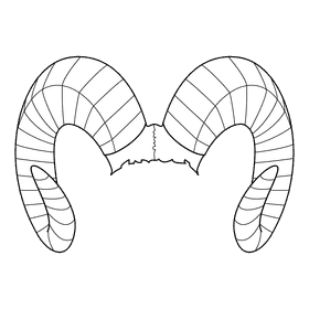 Ram Horns black and white clipart