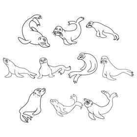 Sealion  set black and white vector