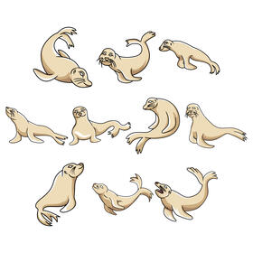 Sealion vector set vector