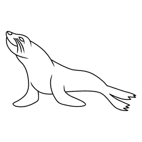 Sealion looking up black and white clipart