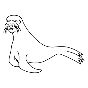 Sealion standby black and white clipart