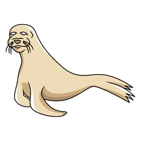 Sealion standby clipart