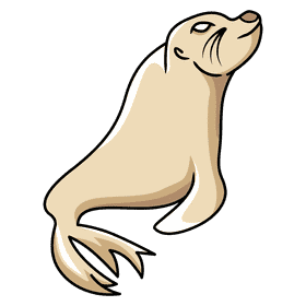 Sealion standing on flipper clipart