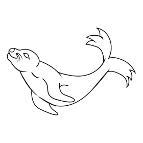 Sealion swim up black and white clipart