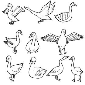 Swan set black and white vector
