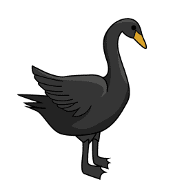 Black swan clipart