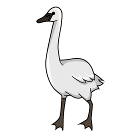 Walk swan clipart