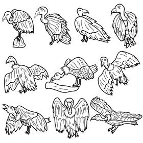 Vulture set black and white vector