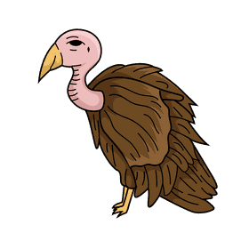 Vulture clipart