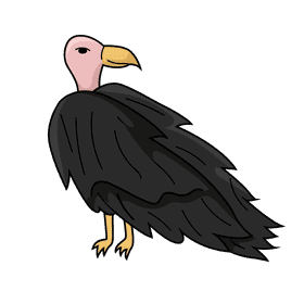 Vulture clipart