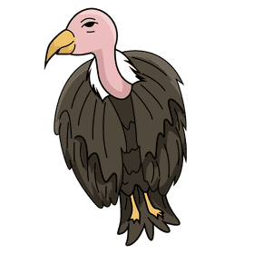 Vulture clipart
