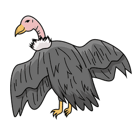 Vulture clipart