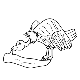 Vulture black and white clipart