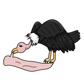 Vulture clipart