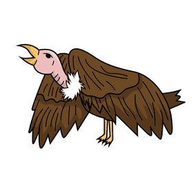 Vulture clipart