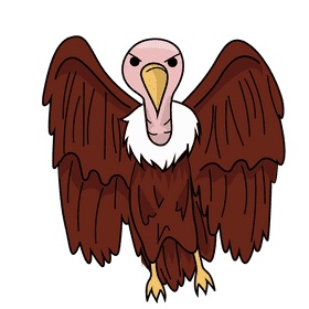 Vulture clipart
