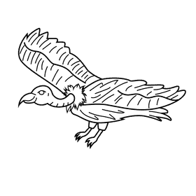 Vulture black and white clipart