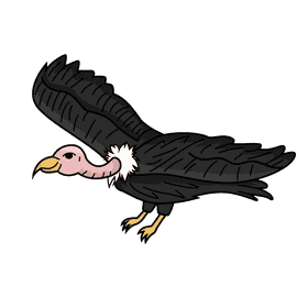 Vulture clipart