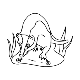 Badger Find Eat black and white clipart