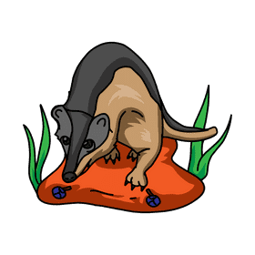 Badger Find Eat clipart