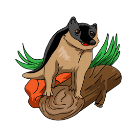 Badger In Up Wood clipart