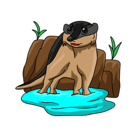 Badger In Water clipart