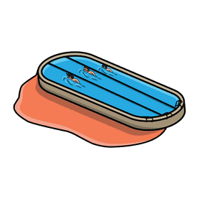 Swimming pool Swim Race clipart
