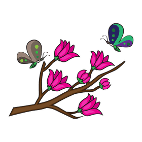 Cherry blossom Butterfly clipart