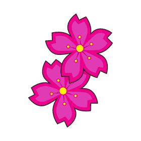 Cherry blossom Flowers clipart