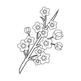 Cherry blossom twig black and white clipart