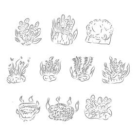 Coral reef black and white vector
