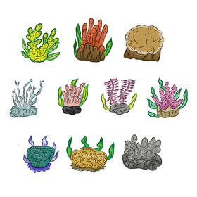 Coral reef vector