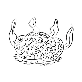 Coral reef Brain black and white clipart