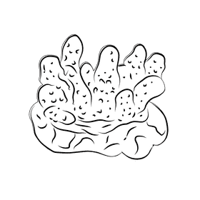 Coral reef Monticulosa black and white clipart