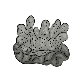 Coral reef Monticulosa clipart