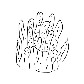 Coral reef Pillar black and white clipart