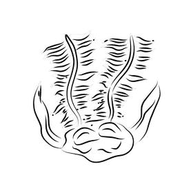 Coral reef Seapen black and white clipart