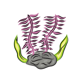 Coral reef Seapen clipart