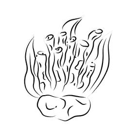 Coral reef Tube black and white clipart
