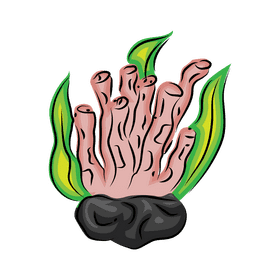 Coral reef Tube clipart