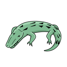 Alligator clipart