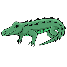 Alligator clipart