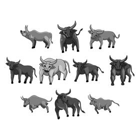 Bull vector set vector